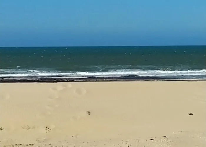 L\'Ocenoa